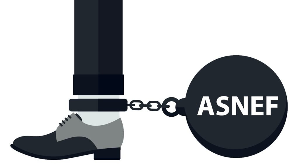 Cómo salir de ASNEF: Guía completa